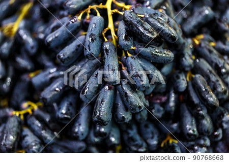 close up black seedless Moon Drops grape or Witch Fingers grape 90768668