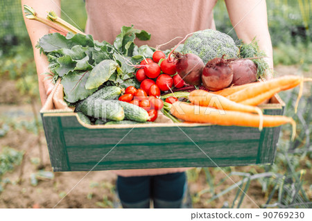 Cheerful happy woman farmer with organic vegetables in a greenhouse. Close up of paper box with ripe vegetables 90769230
