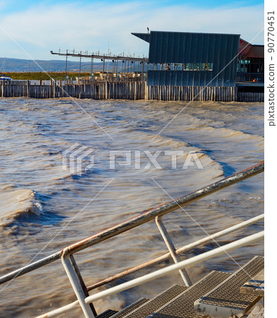 Landscape Neusiedler See restaurant Austria 90770451