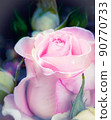 fresh pink rose bud macro. card. a photo. 90770733