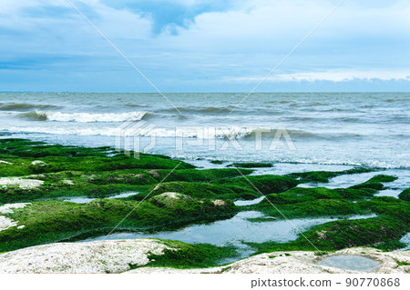 seascape, coast of the Caspian Sea with algae-covered coastal stones seascape, coast of the Caspian Sea with algae-covered coastal stones 90770868