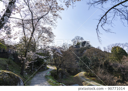 苗木城跡公園的晨景 苗木城跡公園的晨景 90771014