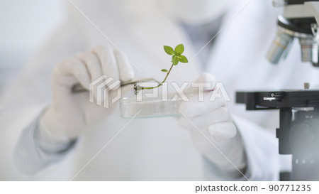 Researcher plant 90771235