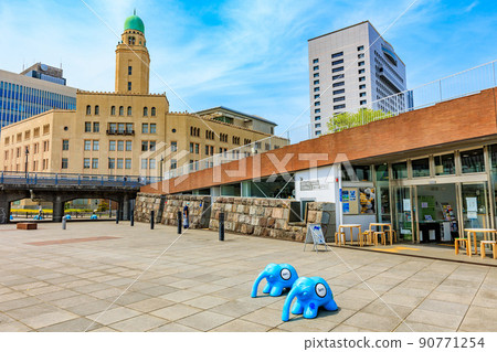 Zou-no-hana Park, Yokohama City, Kanagawa Prefecture 90771254