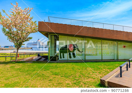 Zou-no-hana Park, Yokohama City, Kanagawa Prefecture 90771286