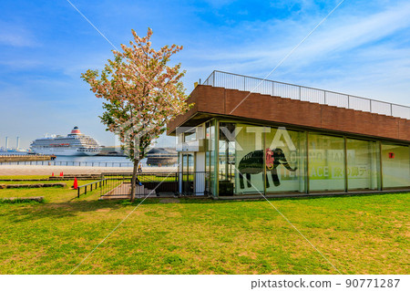 Zou-no-hana Park, Yokohama City, Kanagawa Prefecture 90771287