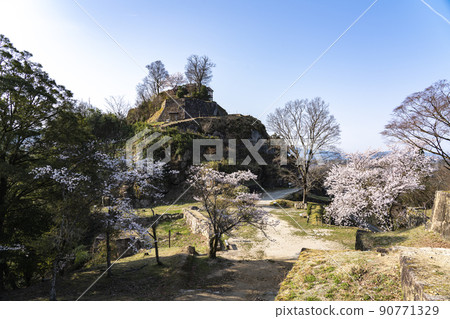 Scenery of Naegi Castle Ruins Park where cherry blossoms bloom Scenery of Naegi Castle Ruins Park where cherry blossoms bloom 90771329