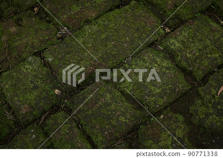 Mossy cobblestone Mossy cobblestone 90771338
