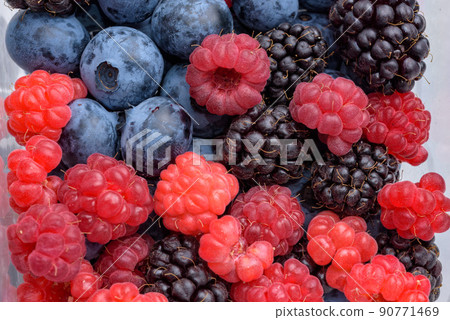 Lots of harvested berries (blueberries, raspberries, blackberries) 90771469