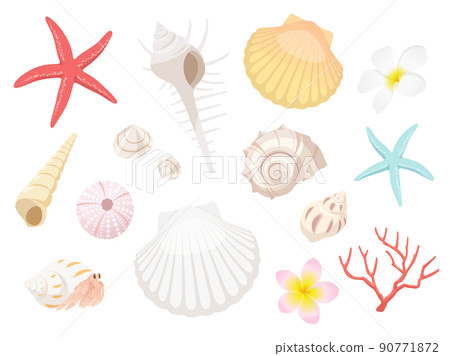 Seashell motif set 90771872