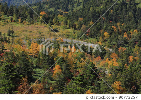 橫手山Drive-In的紅葉風景 90772257