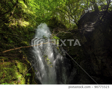 Seireino Falls in Kawakami Village Seireino Falls in Kawakami Village 90773323