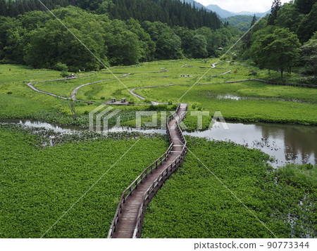 June's Takigashira Marsh 90773344