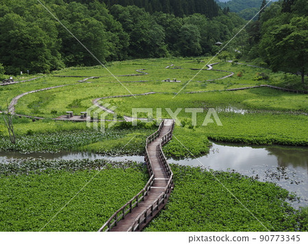 June's Takigashira Marsh 90773345