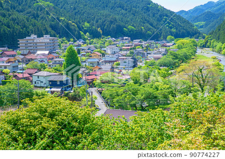 有馬水壩下的風景，入間川方向，城市景觀，春天，新鮮的綠色季節 90774227