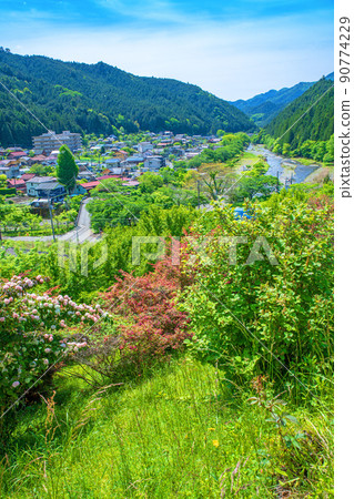 有馬水壩下的風景，入間川方向，城市景觀，春天，新鮮的綠色季節 90774229