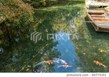 香川縣高松市栗林庭園的千秋丸和池塘鯉魚划船 香川縣高松市栗林庭園的千秋丸和池塘鯉魚划船 90774391