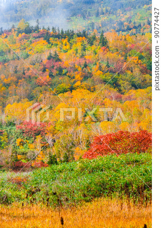 Tsugaike Nature Garden (Autumn) 90774427