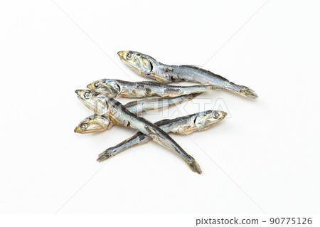 Niboshi 白色背景 90775126