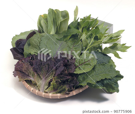 芝麻蔬菜 芝麻蔬菜 90775906