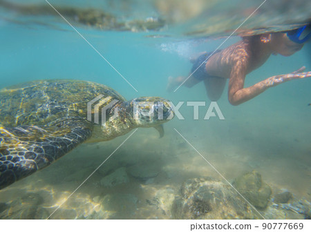 Turtle and boy 90777669