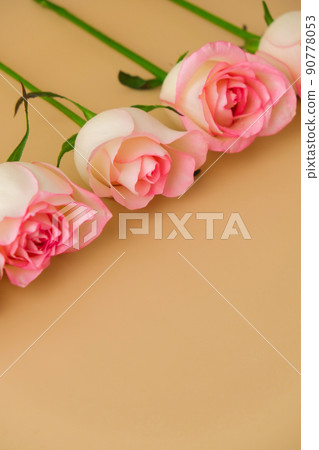 Delicate pink roses on beige background. Minimal trendy composition. Abstract art idea. Romantic pastel pink rose flowers. Modern aesthetic. Neutral earth tones Vertical Delicate pink roses on beige background. Minimal trendy composition. Abstract art idea. Romantic pastel pink rose flowers. Modern aesthetic. Neutral earth tones Vertical 90778053