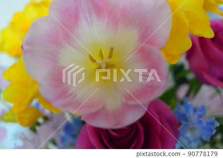 Cute flowers, soft-colored flowers Cute flowers, soft-colored flowers 90778179