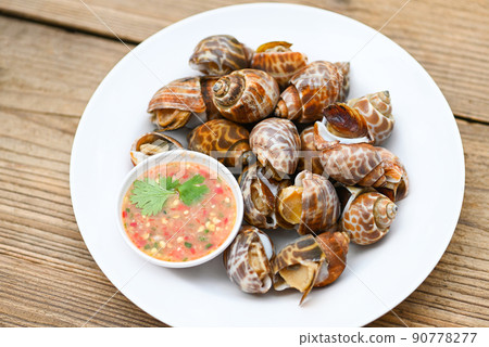 Fresh Spotted babylon Sea shell limpet ocean gourmet seafood in the restaurant, Babylonia areolata shellfish seafood on white plate with seafood sauce on table background Fresh Spotted babylon Sea shell limpet ocean gourmet seafood in the restaurant, Babylonia areolata shellfish seafood on white plate with seafood sauce on table background 90778277