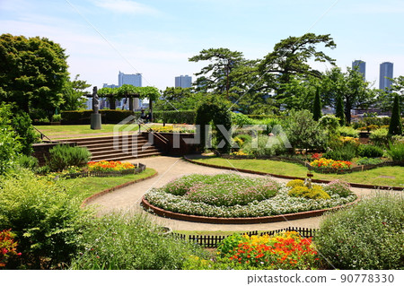 玉川台公園四時野花園初夏風光 玉川台公園四時野花園初夏風光 90778330