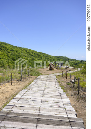 洞爺西山腳火山口（第2展望台和臥舖道路沿線的熱帶地區） 90779081