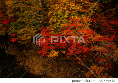 [Nikko, Tochigi Prefecture] Autumn leaves Setoaikyo Watari Suspension Bridge October Haru 90779618
