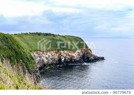 神奈川縣上島市海岸 神奈川縣上島市海岸 90779678