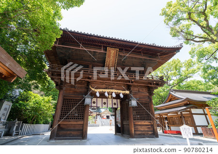 《愛媛縣》伊予津彥名神社（椿神社，椿山） 90780214