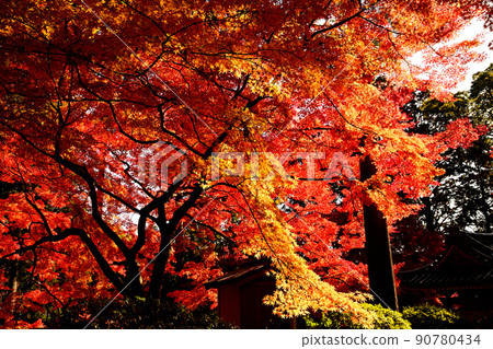 Autumn landscape autumn leaves Autumn landscape autumn leaves 90780434