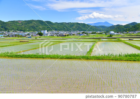 長野縣上田市丸子地區風景（長野縣上田市）[2022.6] 90780787