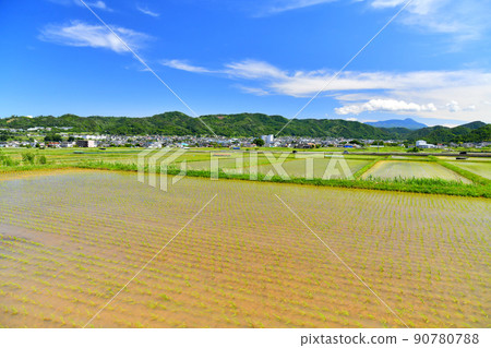 長野縣上田市丸子地區風景（長野縣上田市）[2022.6] 90780788