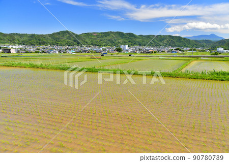 長野縣上田市丸子地區風景（長野縣上田市）[2022.6] 90780789