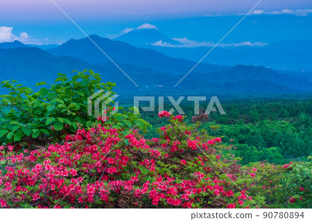 (Yamanashi Prefecture) Beautiful forest of Kiyosato where azaleas bloom, distant view of Mt. Fuji, evening view 90780894