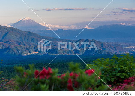 (Yamanashi Prefecture) Beautiful forest of Kiyosato where azaleas bloom, distant view of Mt. Fuji, evening view 90780993