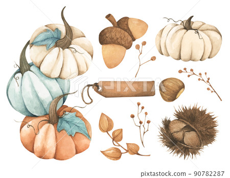 Watercolor autumn harvest set. Isolated on a white background. 90782287