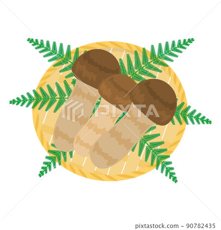 Illustration of matsutake mushrooms in a colander 90782435