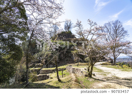 春天苗木城址公園 春天苗木城址公園 90783457