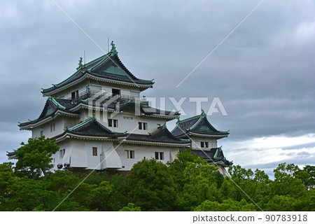 和歌山縣和歌山城 90783918