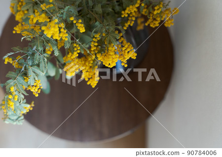 Mimosa flower 90784006