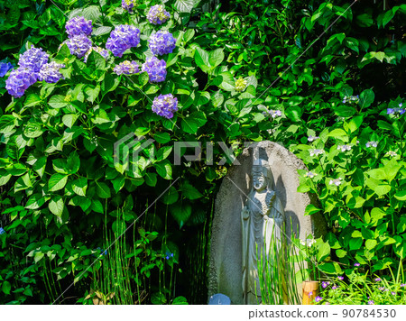 Hydrangea and stone Buddha 90784530