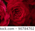 紅玫瑰花宏觀照片 90784702