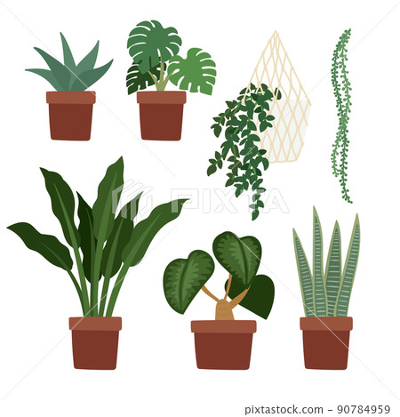 Shy plant Stock Vector Images - Alamy