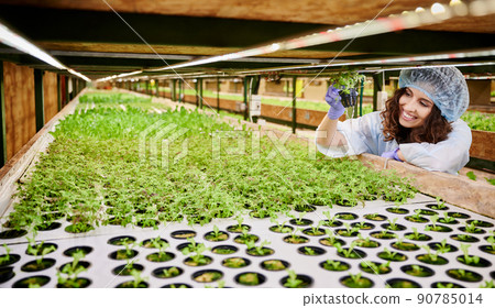 Woman holding pot with green plant seedlings. Female agronomist standing near greenhouse shelf with seed trays while holding sprouting plant. Woman holding pot with green plant seedlings. Female agronomist standing near greenhouse shelf with seed trays while holding sprouting plant. 90785014