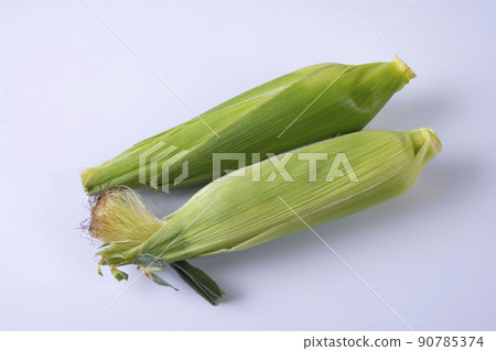 Corn 90785374