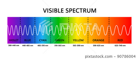 Visible light spectrum. Optical light wavelength. Electromagnetic visible color spectrum for human eye. Vector gradient diagram with wavelength and color. Educational illustration on white background 90786004